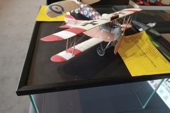 IMG_20220702_144222827