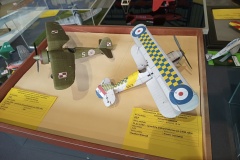 IMG_20220702_144233747