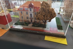 IMG_20220702_144903326