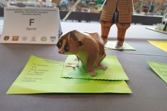 IMG_20220702_145002474