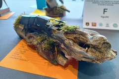 IMG_20220702_145009025_HDR