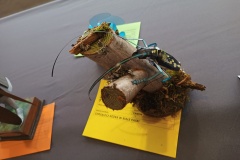 IMG_20220702_145013657