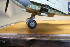 Seafire LF Mk.III