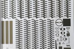 IMG_20260106_144036-1K-JPEG