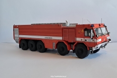 tatra cv-40 taurus 10x10 pmht