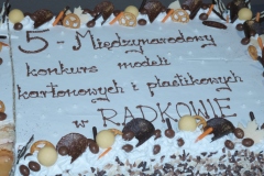 V-Miedzynarodowy-Konkurs-Modeli-Kartonowych-i-Plastikowych-Radkow-2025-116