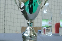 V-Miedzynarodowy-Konkurs-Modeli-Kartonowych-i-Plastikowych-Radkow-2025-187