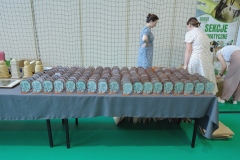 V-Miedzynarodowy-Konkurs-Modeli-Kartonowych-i-Plastikowych-Radkow-2025-188