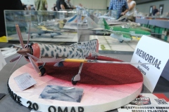 V-Miedzynarodowy-Konkurs-Modeli-Kartonowych-i-Plastikowych-Radkow-2025-214