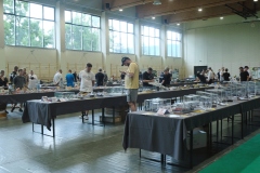 V-Miedzynarodowy-Konkurs-Modeli-Kartonowych-i-Plastikowych-Radkow-2025-225