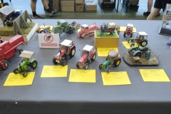 V-Miedzynarodowy-Konkurs-Modeli-Kartonowych-i-Plastikowych-Radkow-2025-249