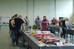 V-Miedzynarodowy-Konkurs-Modeli-Kartonowych-i-Plastikowych-Radkow-2025-290