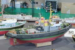 V-Miedzynarodowy-Konkurs-Modeli-Kartonowych-i-Plastikowych-Radkow-2025-306