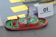 V-Miedzynarodowy-Konkurs-Modeli-Kartonowych-i-Plastikowych-Radkow-2025-312