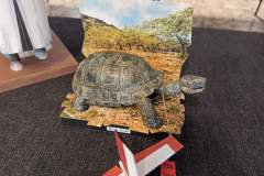 VI_Konkurs_Modeli_Kartonowych_Nowy_Tomysl_foto_Arek_Satora_138