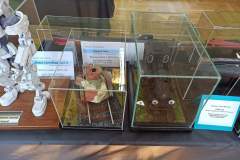 VI_Konkurs_Modeli_Kartonowych_Nowy_Tomysl_foto_Arek_Satora_160