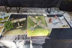 VI_Konkurs_Modeli_Kartonowych_Nowy_Tomysl_foto_Arek_Satora_226