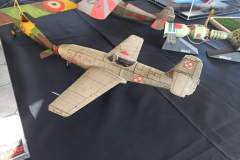 VI_Konkurs_Modeli_Kartonowych_Nowy_Tomysl_foto_Arek_Satora_239