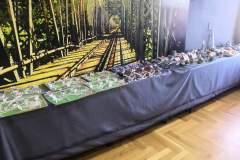 VI_Konkurs_Modeli_Kartonowych_Nowy_Tomysl_2022_foto_Olek_Dron_31