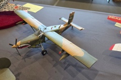 VI-Miedzynarodowy-Konkurs-Modeli-Kartonowych-i-Plastikowych-w-Radkowie-2026-082