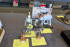 VI-Miedzynarodowy-Konkurs-Modeli-Kartonowych-i-Plastikowych-w-Radkowie-2026-156