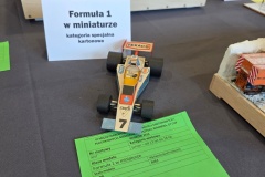 VI-Miedzynarodowy-Konkurs-Modeli-Kartonowych-i-Plastikowych-w-Radkowie-2026-232
