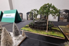 VIII-Konkurs-Modeli-Kartonowych-o-Puchar-Burmisrza-Nowego-Tomysla-2024-164