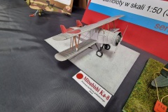 VIII-Konkurs-Modeli-Kartonowych-o-Puchar-Burmisrza-Nowego-Tomysla-2024-196