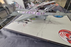 VIII-Konkurs-Modeli-Kartonowych-o-Puchar-Burmisrza-Nowego-Tomysla-2024-197