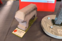 IMG_20240316_101129