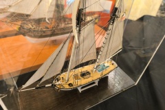 IMG_20240316_101839
