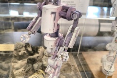 IMG_20240316_104454