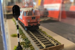 IMG_20240316_110259