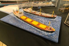 IMG_20240316_115353