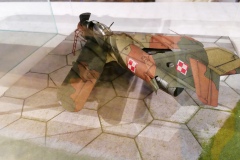 Kartonowa-Syrenka-Warszawa-2023-28