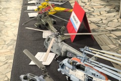 X-Konkurs-Modeli-Kartonowych-Nowy-Tomysl-KArol-Kupczyk_2026-066