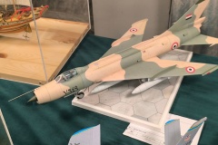 X-Konkurs-Modeli-Kartonowych-Nowy-Tomysl-KArol-Kupczyk_2026-299