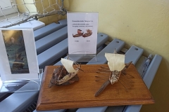 konkurs_modelarski_Jaworznow_2021_083