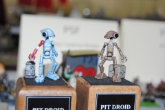 XX_Konkurs_Modeli_Redukcyjnych_Lambinowice_2021_100