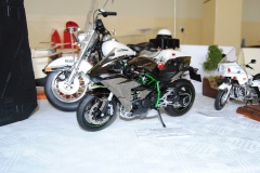 XX_Konkurs_Modeli_Redukcyjnych_Lambinowice_2021_105