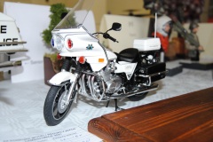 XX_Konkurs_Modeli_Redukcyjnych_Lambinowice_2021_107