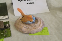 1_IMG_20241109_134328