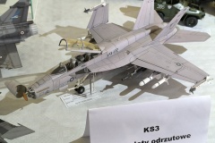 1_IMG_20241109_134733