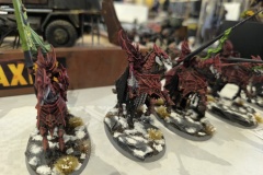 1_IMG_20241109_134921