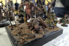 1_IMG_20241109_134937