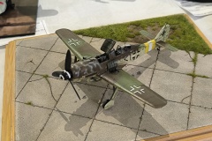 1_IMG_20241109_135124