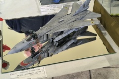 1_IMG_20241109_135202