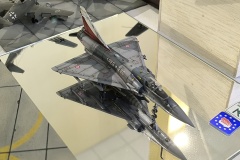 1_IMG_20241109_135210