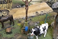 IMG_20241109_140217