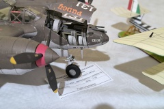 IMG_20241110_114533